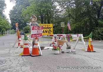 Oakmont residents turn sinkhole into impromptu art display