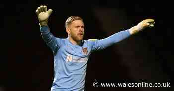 Former Swans goalkeeper David Cornell linked with return to the club
