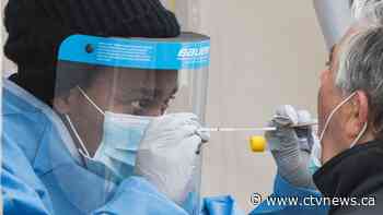Coronavirus report card: Experts give Canada a B, U.S. an F