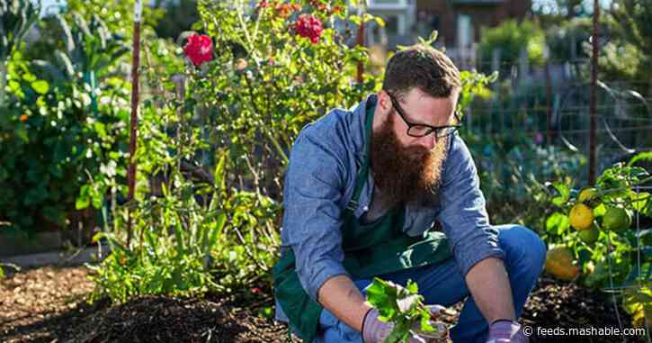 7 great gardening deals for people who are obsessed with plants