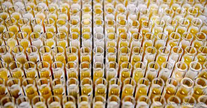 Antivirus: A weekly digest of the latest COVID-19 research