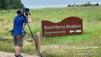 Wild Outings: 5 hikeable nature areas in the capital region