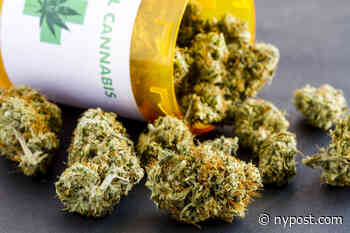 Florida woman arrested for attacking dad who didn't share his medical marijuana - New York Post
