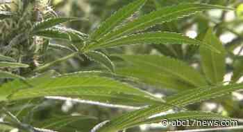 State issues five new medical marijuana facility licenses - ABC17News.com