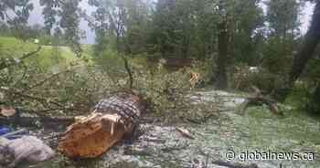 3 teens hospitalized after storm hits campground northwest of Calgary