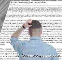 The Harper’s Open Letter Has Been Blasted By Everyone. Who Wouldn’t Have Anticipated That?