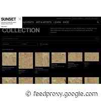 Every Artwork At The Whitney Is Being Covered With Plywood