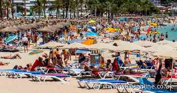 Holidaymakers in Spain to face 'quarantine for two weeks on return to UK'