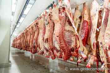 Onderzoek naar misstanden slachthuizen duurt ‘onredelijk lang’ en is gestaakt