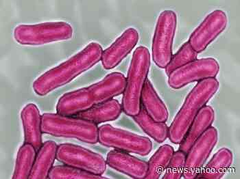 CDC warns of a &#39;rapidly growing&#39; Salmonella outbreak amid more than 200 reported infections