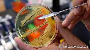 Salmonella outbreak linked to U.S. hits five provinces, but source still unknown
