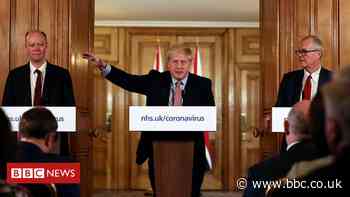 Coronavirus: Did 'herd immunity' change the course of the outbreak?