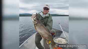 Biologist nets 25 pound lake trout - WAGM