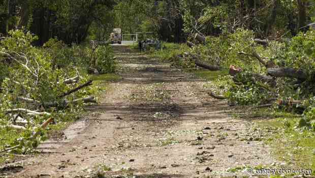 'Wall of white': Savage storm tears through Alberta campground, sends 3 to hospital