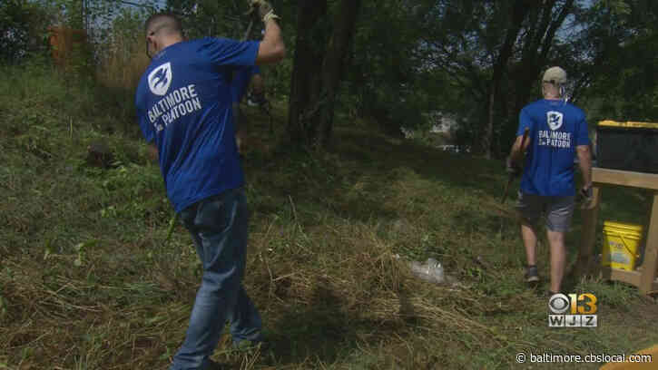 Volunteers Organize Community Cleanup At City Of Refuge Victory Garden