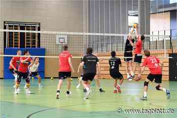 Trainingsbesuch bei den Volleyballern des TV Rottenburg - Schwäbisches Tagblatt