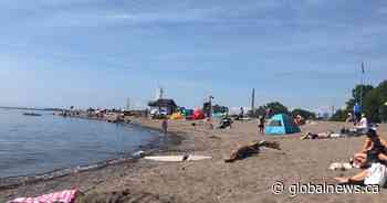 Warnings issued for 4 Toronto beaches due to elevated E. coli bacteria levels - Globalnews.ca