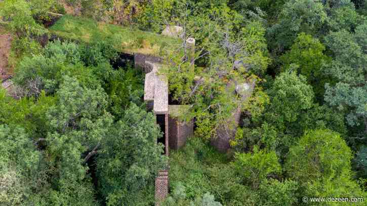 Frankie Pappas threads skinny house through South African forest