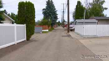 Two kittens euthanized after leg-trap set in north Edmonton