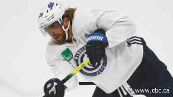Jets' Blake Wheeler steps away from domestic chaos to play in Stanley Cup qualifiers