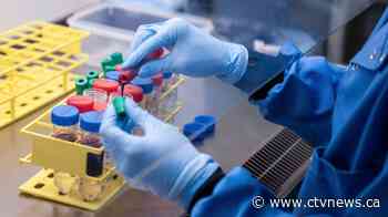 Vaccine tracker: The top contenders to stop the novel coronavirus