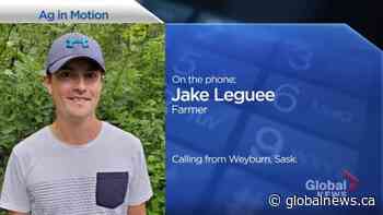 Ag in Motion swatching along despite pandemic