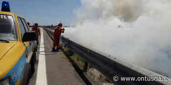 Vasto incendio di sterpaglie lato autostrada a Tarquinia - OnTuscia.it