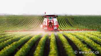 U of R team developing tool for more accurate herbicide spraying