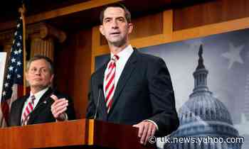 Tom Cotton calls slavery 'necessary evil' in attack on New York Times' 1619 Project