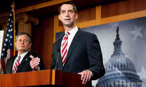 Tom Cotton calls slavery 'necessary evil' in attack on New York Times' 1619 Project