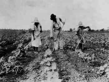 Local reparations efforts are good but not enough, advocates say