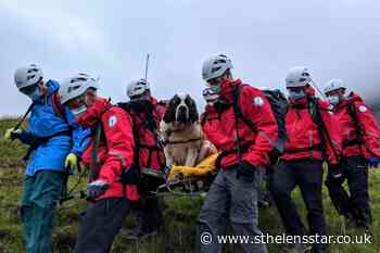 St Bernard rescued from England's highest mountain - St Helens Star