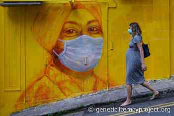 COVID-19 is causing silent epidemics — societal and medical crises - Genetic Literacy Project