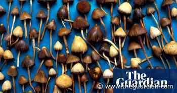 Ease restrictions on medical psychedelics to aid research, experts say - The Guardian