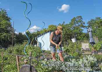19 Neighbors: Community garden is an urban oasis in South Side Slopes