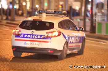Villepinte : un policier fait feu contre le chauffard qui tente d'écraser son collègue - Le Parisien