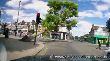 Ealing boffins can detect early signs of decay in trees