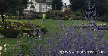 Vandals trash town's formal garden - after volunteers spend lockdown tending it