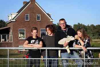 Dit gezin woont in het midden van de Biesbosch: ‘We hebben nooit last van de buren’