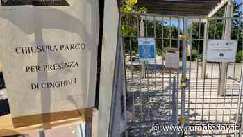 Torrino Mezzocammino: il parco Corto Maltese è "chiuso per cinghiali"