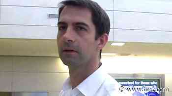 Senator Tom Cotton Says Slavery Was 'Necessary Evil' to Founding Fathers