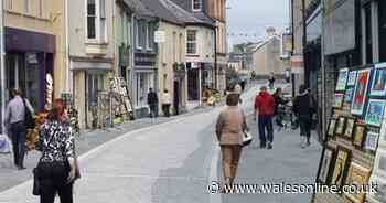 Plans to pedestrianise Carmarthen's King Street street angers traders