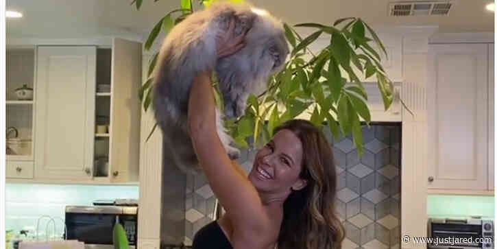 Kate Beckinsale Recreates 'Dirty Dancing' Lift with Her Cat for Her Birthday - Watch!