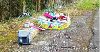 Man who dumped kids paddling pool in Neath Valley hit with large fine
