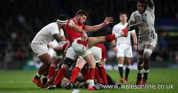 Wales drawn to play England and Ireland as new autumn competition emerges