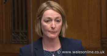 Support needed for businesses who have 'fallen through the cracks'