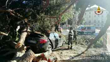 Paura a Piazza Venezia: albero cade su vettura in transito, automobilista in ospedale