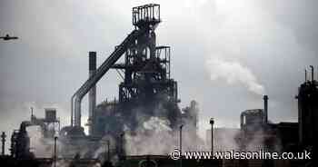 'Tata asks UK Government to take a stake in Port Talbot steelworks'