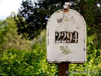 People in the US have reported receiving packages marked as jewelry that actually contain mysterious seeds from China