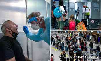 Coronavirus: Germany to impose Covid-19 tests on travellers returning from high-risk countries - Daily Mail